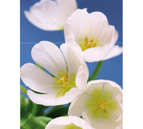 Панно Cerrol Blue Garden из 3 плиток 75х60 см х9999068635