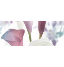 Панно Ceradim Sano B 20х50 см КПН17SanoB