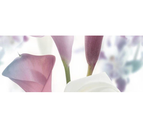 Панно Ceradim Sano B 20х50 см КПН17SanoB