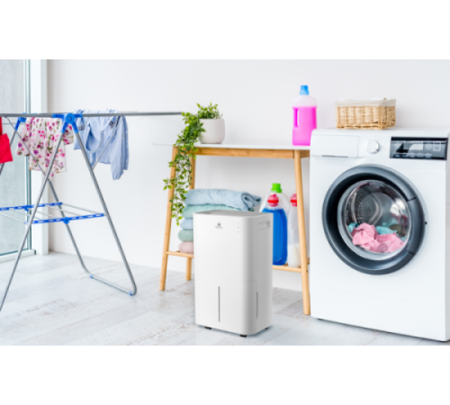 Осушитель воздуха ROYAL CLIMA PACIFIC Loft 25 л/сутки RD-PC25-E