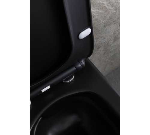 Унитаз подвесной Allen Brau Liberty 37x45x41.5 см черный 4.33007.31