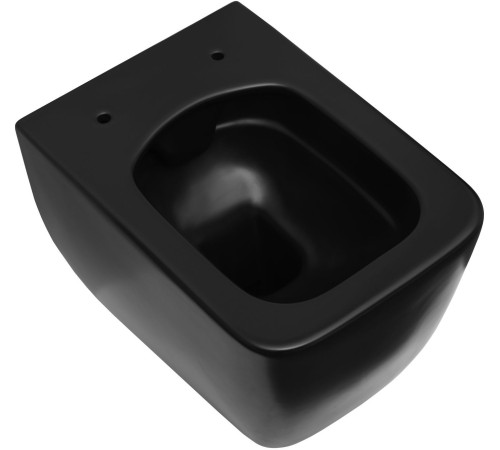 Унитаз подвесной Allen Brau Liberty 37x45x41.5 см черный 4.33007.31