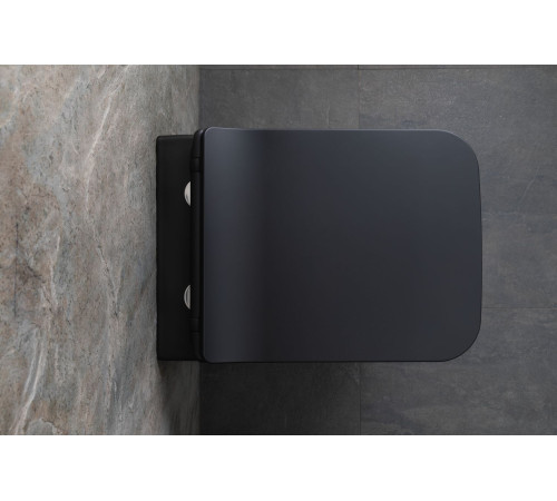 Унитаз подвесной Allen Brau Liberty 37x45x41.5 см черный 4.33007.31