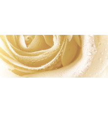 Декор Cerrol Syntia Rose 3 20х50 см 068622