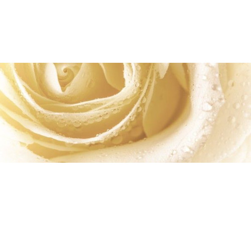 Декор Cerrol Syntia Rose 3 20х50 см 068622