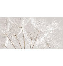 Вставка Cersanit Avangarde серая 29.8x59.8 см AV2L091