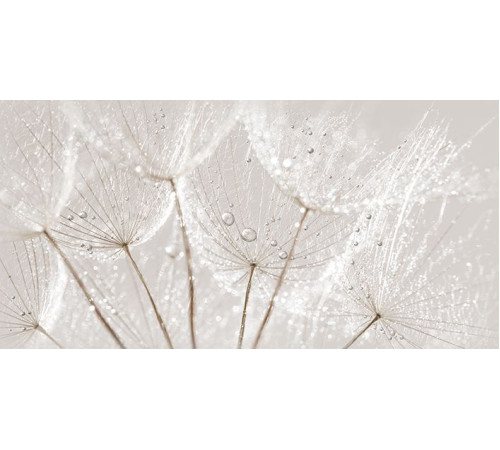 Вставка Cersanit Avangarde серая 29.8x59.8 см AV2L091