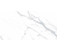 Керамогранит Ceradim Statuario Justice Grey белый 60x120 см полированный х9999304221