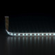 Светодиодная лента 12 В 14,4 Вт/м 60 Led/м 5050 IP65, холодный белый 6500К, 5 м Лента светодиодная 12V 14,4W 60Led 5050 IP65 холодный белый, 5м