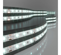 Светодиодная лента 12 В 4,8 Вт/м 60 Led/м 2835 IP65, холодный белый 6500К, 5 м Лента светодиодная 12V 4,8W 60Led 2835 IP65 холодный белый, 5м