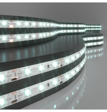 Светодиодная лента 12 В 4,8 Вт/м 60 Led/м 2835 IP65, холодный белый 6500К, 5 м Лента светодиодная 12V 4,8W 60Led 2835 IP65 холодный белый, 5м