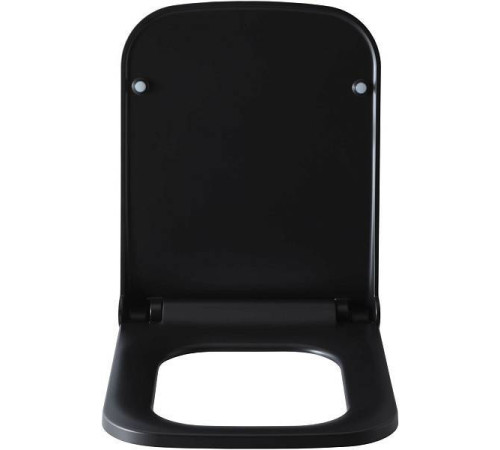 Крышка-сиденье для унитаза Allen Brau Infinity 36x44x4.5 см черный 4.21014.31