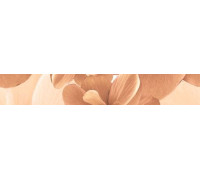 Бордюр Дельта Керамика Pastel B300-3D124 30х4.5 см