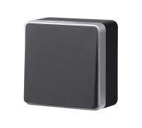 Выключатель одноклавишный проходной Gallant черный с серебром W5012034