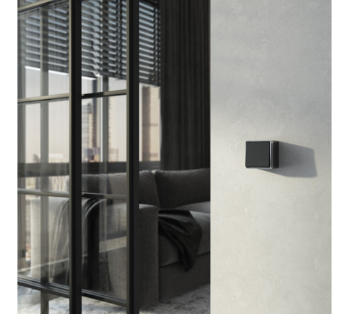 Выключатель одноклавишный проходной Gallant черный с серебром W5012034