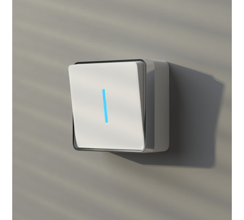 Выключатель одноклавишный с подсветкой Gallant белый W5010101