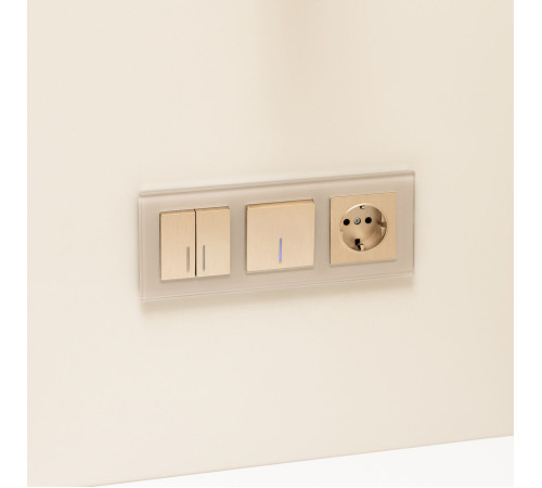 Выключатель одноклавишный с подсветкой (шампань рифленый) W1110110