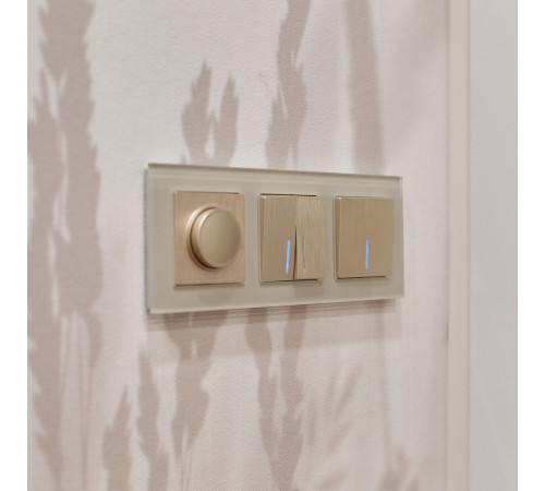 Выключатель одноклавишный с подсветкой (шампань рифленый) W1110110