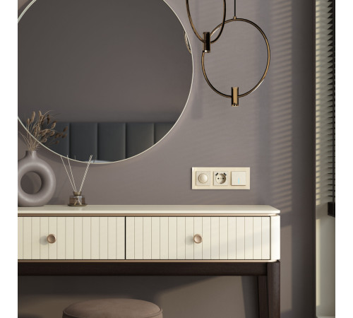 Выключатель одноклавишный с подсветкой (шампань рифленый) W1110110