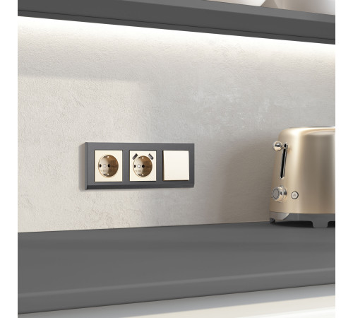 Выключатель одноклавишный (шампань) W1110011