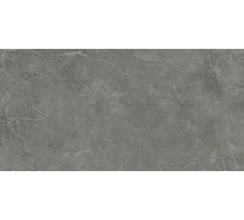 Керамогранит Laparet Pluto Grigio серый матовый 59.5х119.1 см SG50005320R