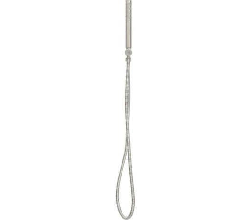 Душевой гарнитур Allen Brau Priority ручной душ с держателем и шлангом никель браш 5.31019-BN