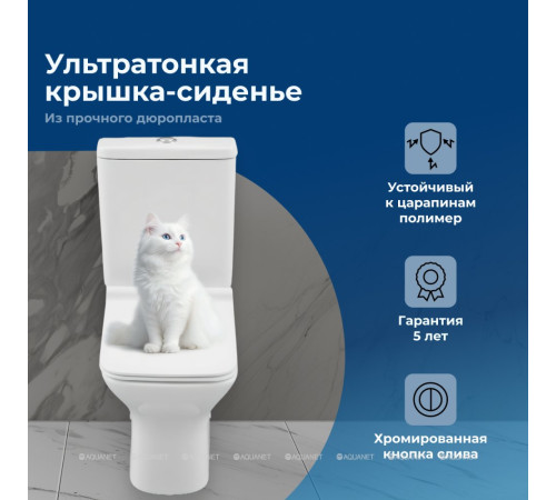 Чаша для унитаза напольного Aquanet Cube 2-C Rimless с сиденьем Soft Close Slim 00240208