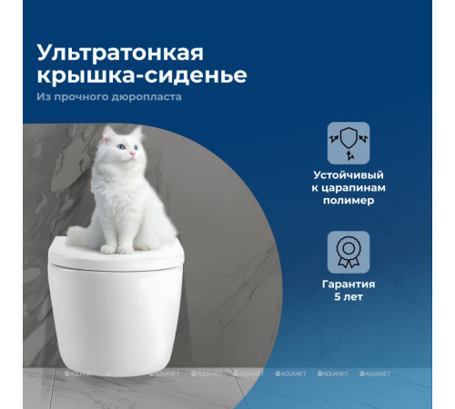 Унитаз подвесной Aquanet ZVEZDA-2 безободковый с сиденьем Soft Close ZV-2