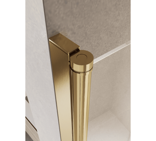 Душевая дверь RGW Passage PA-104Gb 1200 мм маятниковая золото 060810412-16