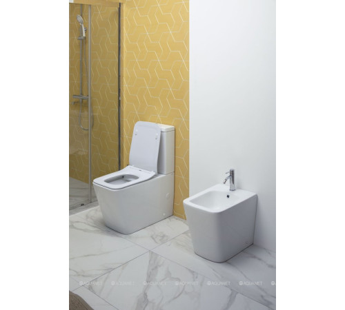 Чаша напольного унитаза Aquanet TAVR-C1 безободковая с сиденьем Soft Close 00203346