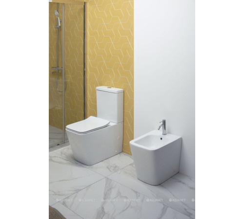 Чаша напольного унитаза Aquanet TAVR-C1 безободковая с сиденьем Soft Close 00203346