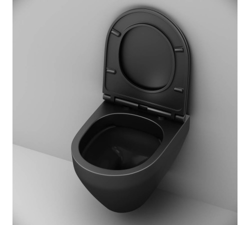 Унитаз подвесной AM.PM Spirit V2.0 FlashClean с сиденьем микролифт C701700MBSC