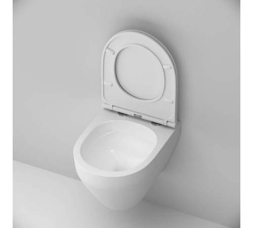 Унитаз подвесной AM.PM Spirit V2.0 FlashClean с сиденьем микролифт матовый C701700MWSC