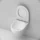 Унитаз подвесной AM.PM Spirit V2.0 FlashClean с сиденьем микролифт матовый C701700MWSC