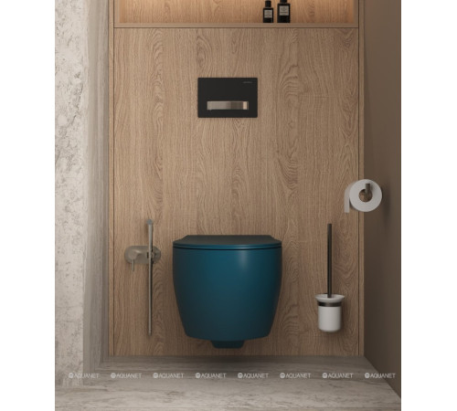 Смеситель с гигиеническим душем Allen Brau Priority скрытая часть брашированный никель 5.31005-BN