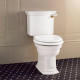 Унитаз-моноблок Devon&Devon Westminster 64х36.5 см горизонтальный выпуск фурнитура бронза IBWCWES / IBCBWES / IBBATT-CM/WEST / IBLEVADX/BR