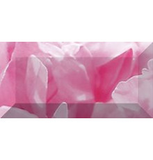 Бордюр рельефный Ceramica Classic Peony 20х10 см br1020D281-1