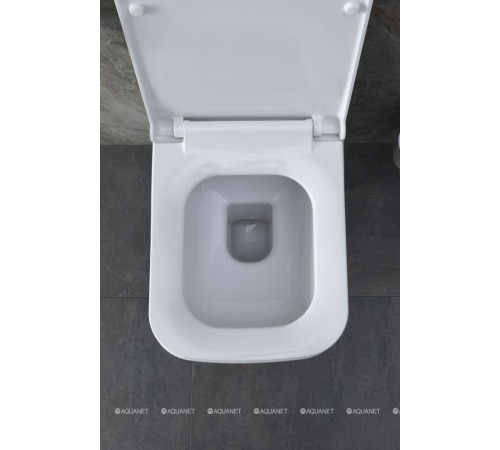 Унитаз подвесной Allen Brau INFINITY 2 Rimless без сиденья 535x340 мм 4.21011.20