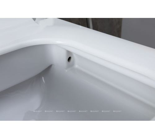 Унитаз подвесной Allen Brau INFINITY 2 Rimless без сиденья 535x340 мм 4.21011.20