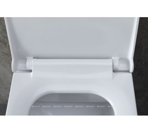 Унитаз подвесной Allen Brau INFINITY 2 Rimless без сиденья 535x340 мм 4.21011.20