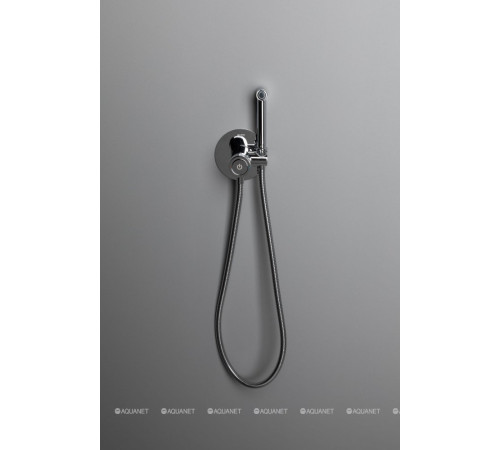 Смеситель с гигиеническим душем Allen Brau Liberty Push key хром 5.33005-00