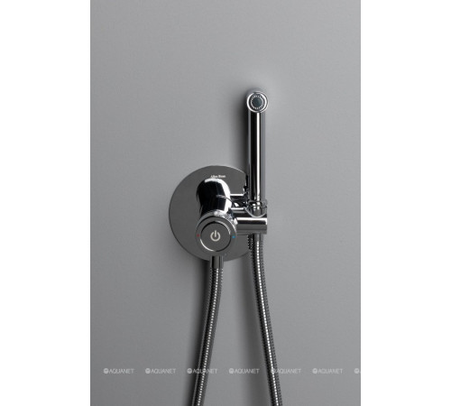 Смеситель с гигиеническим душем Allen Brau Liberty Push key хром 5.33005-00