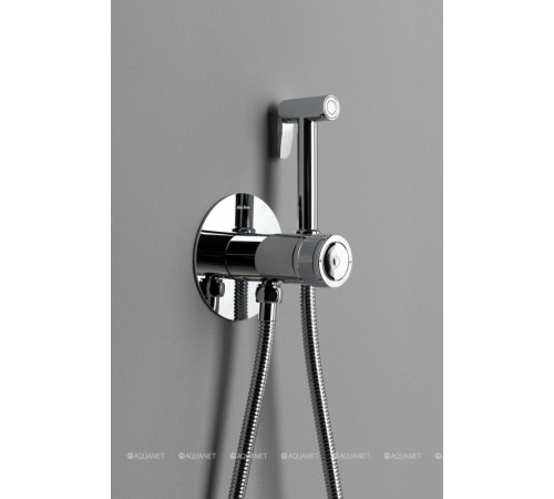 Смеситель с гигиеническим душем Allen Brau Liberty Push key хром 5.33005-00