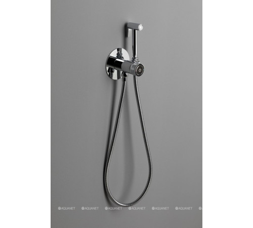 Смеситель с гигиеническим душем Allen Brau Liberty Push key хром 5.33005-00