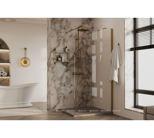 Душевая перегородка Allen Brau INFINITY 2 Walk-in 1000 мм тонир. черный браш 3.21040.BBA.T