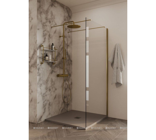 Душевая перегородка Allen Brau INFINITY 2 Walk-in 1000 мм тонир. медь браш 3.21042.60.T