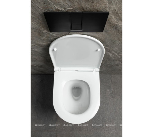 Унитаз подвесной Allen Brau Priority Tornado без сиденья 490x360 мм белый 4.31009.20