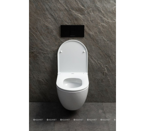 Унитаз подвесной Allen Brau Priority Tornado без сиденья 490x360 мм белый 4.31009.20