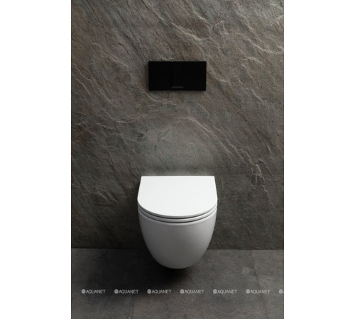 Унитаз подвесной Allen Brau Priority Tornado без сиденья 490x360 мм белый 4.31009.20