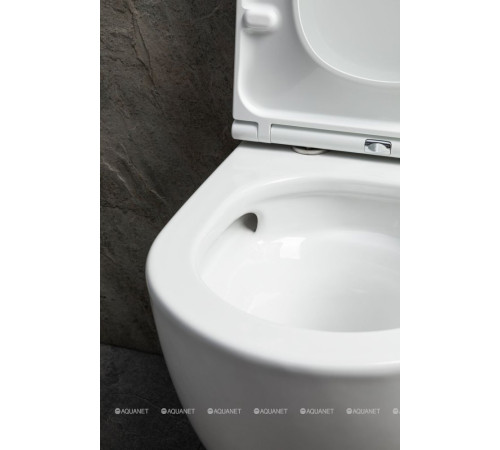 Унитаз подвесной Allen Brau Priority Tornado без сиденья 490x360 мм белый 4.31009.20